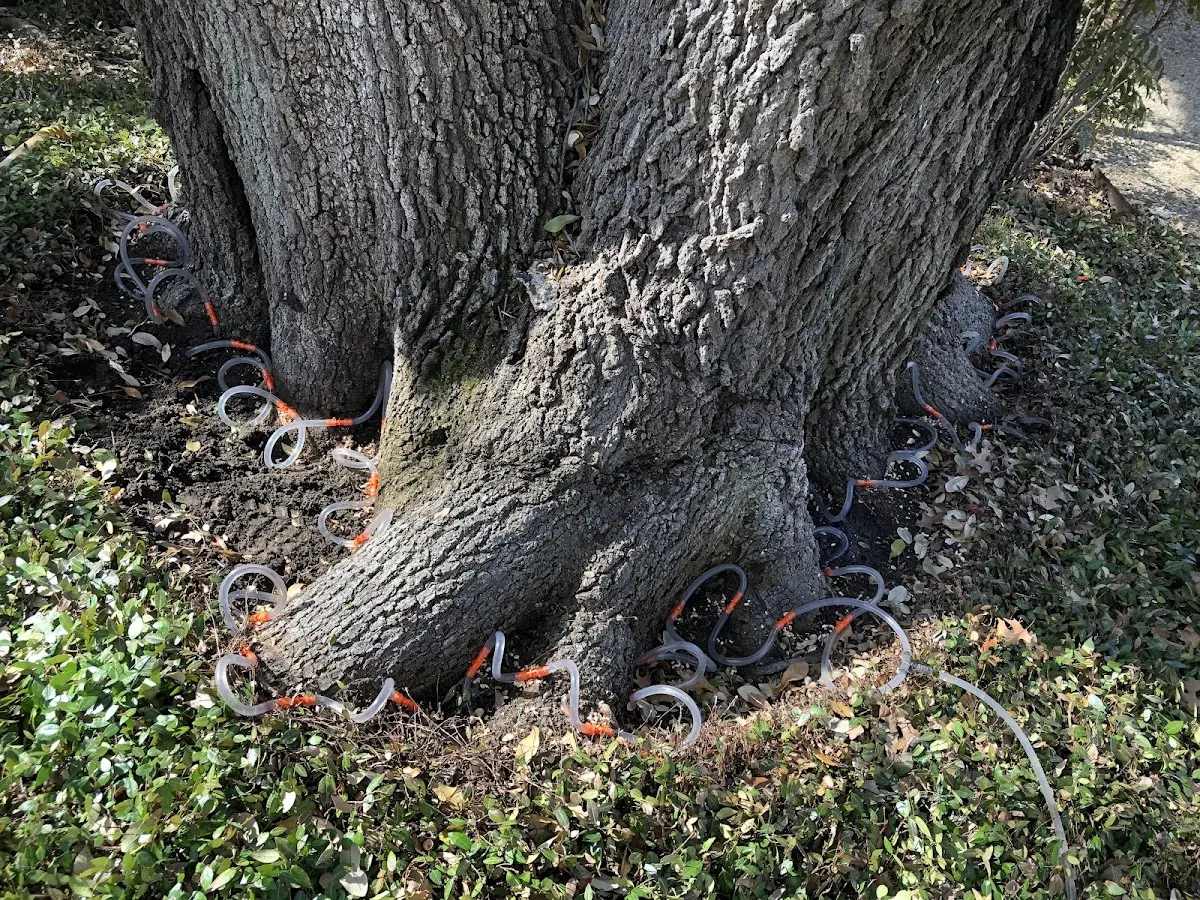 Detailed Shrub and Hedge Trimming job site in Stonewall